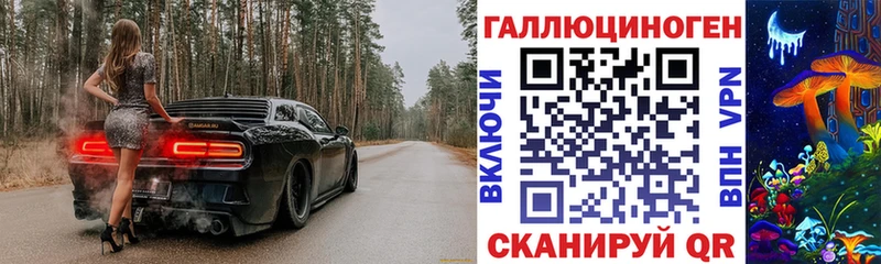 Галлюциногенные грибы Cubensis  kraken tor  Томмот 